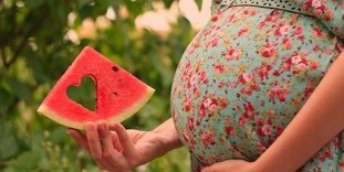 شريحة البطيخ في يد المرأة الحامل